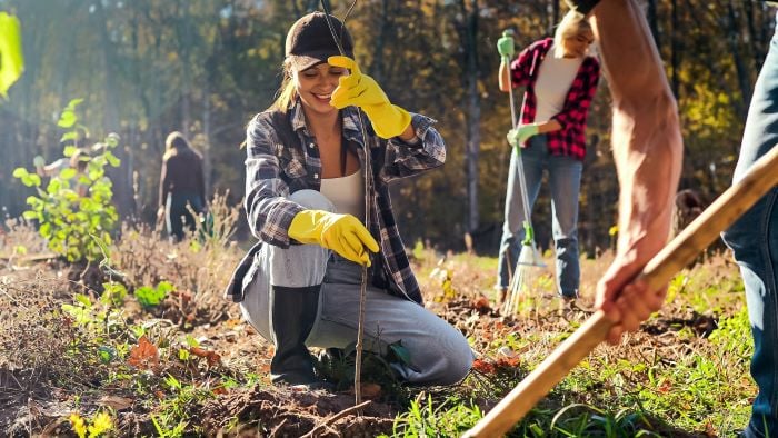 What Can I Do With An Environmental Science Degree TopUniversities what-can-i-do-with-an-environmental-science-degree-topuniversities